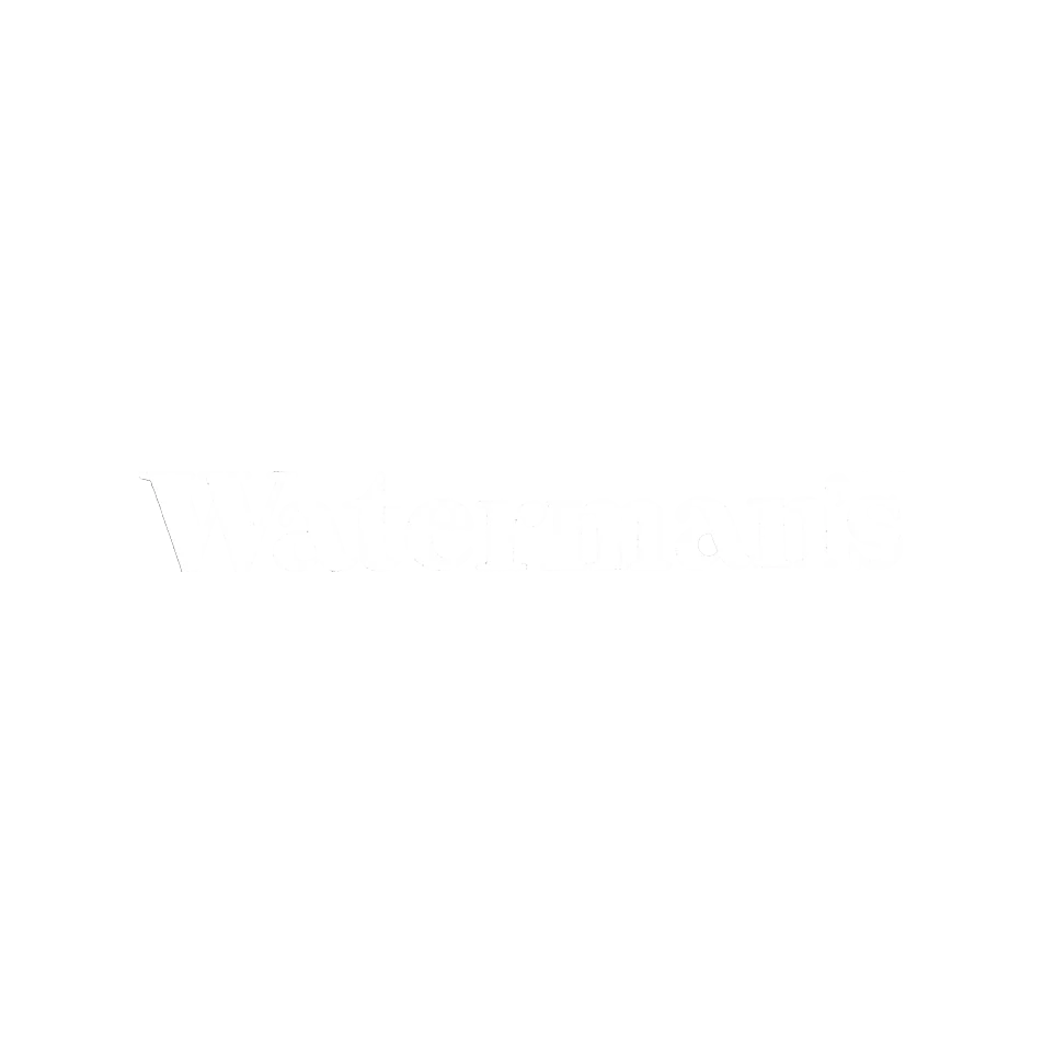 vintage waterman fountain pen